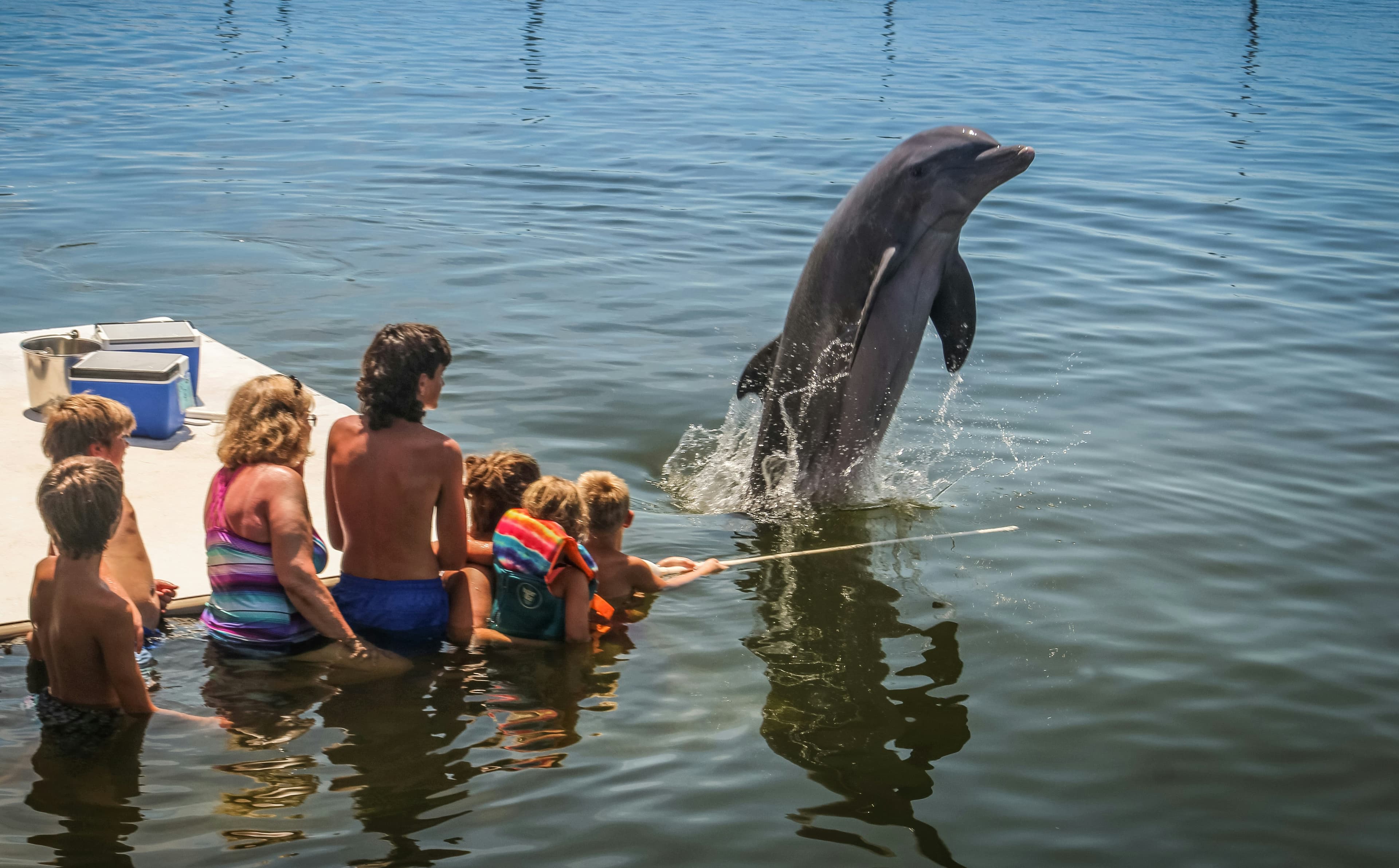 Tours & Excursions