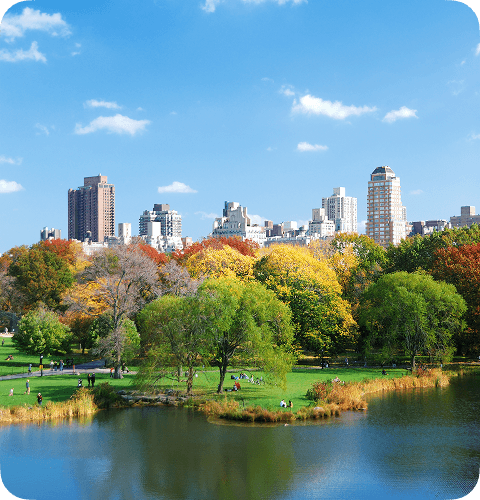 Completely Managed Business Trip